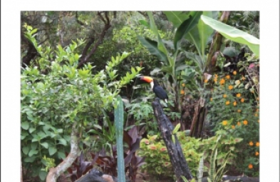 Chácara para venda em Avaré